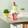 Juvale Mini Plastic Plant Pots Drainage Hole for Flower Pots Sturdy Planter for Indoor Plants Pack of 24 25 x 23 in Multicolor