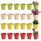Juvale Mini Plastic Plant Pots Drainage Hole for Flower Pots Sturdy Planter for Indoor Plants Pack of 24 25 x 23 in Multicolor