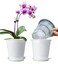 Meshpot 4 inch Clear Orchid Pots with Holes Match White Plastic Orchid Planter Double Layer Plant Nursery Pots Own Scientific Controlling Roots Technology Set of 2