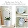 Meshpot 4 inch Clear Orchid Pots with Holes Match White Plastic Orchid Planter Double Layer Plant Nursery Pots Own Scientific Controlling Roots Technology Set of 2