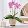 STHIE 5 Inch Ceramic Planters for Indoor Plants Funny Small Plant Pots with Drainage Unique Decorative Cute Flower Pot Panthers Round Flowerpots