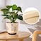 STHIE 5 Inch Ceramic Planters for Indoor Plants Funny Small Plant Pots with Drainage Unique Decorative Cute Flower Pot Panthers Round Flowerpots