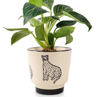 STHIE 5 Inch Ceramic Planters for Indoor Plants Funny Small Plant Pots with Drainage Unique Decorative Cute Flower Pot Panthers Round Flowerpots
