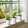 SwinDuck 20 Pack 6 Inch Plant Pots with Drainage and Saucers White Plastic Flower Pots for Indoor and Outdoor Plants Stackable Nursery Planters for Houseplants and Herbs White