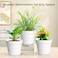 SwinDuck 20 Pack 6 Inch Plant Pots with Drainage and Saucers White Plastic Flower Pots for Indoor and Outdoor Plants Stackable Nursery Planters for Houseplants and Herbs White