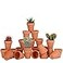 FCFKUK 24pcs Mini Clay Pots 25 Terracotta Pottery Planters Cactus Flower Succulents Nursery Pots with Drainage Hole for IndoorOutdoor