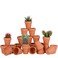 FCFKUK 24pcs Mini Clay Pots 25 Terracotta Pottery Planters Cactus Flower Succulents Nursery Pots with Drainage Hole for IndoorOutdoor