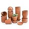 D'vine Dev Dvine Dev Pack of 18 Terracotta Pots with Saucers 3 Inches Terra Cotta Pots with Tray Clay Pots for Plants Succulents Terracotta 588A13