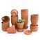 D'vine Dev Dvine Dev Pack of 18 Terracotta Pots with Saucers 3 Inches Terra Cotta Pots with Tray Clay Pots for Plants Succulents Terracotta 588A13