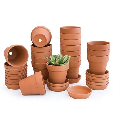 D'vine Dev Dvine Dev Pack of 18 Terracotta Pots with Saucers 3 Inches Terra Cotta Pots with Tray Clay Pots for Plants Succulents Terracotta 588A13