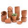 D'vine Dev Dvine Dev Pack of 18 Terracotta Pots with Saucers 3 Inches Terra Cotta Pots with Tray Clay Pots for Plants Succulents Terracotta 588A13
