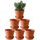 Yishang Terra Cotta Pots with Saucer 6Pack Large Clay Pots 55 Ceramic Pottery Planter Cactus Flower Succulent Pot with Drainage Hole Great for PlantsCrafts terra cotta planter