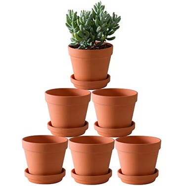 Yishang Terra Cotta Pots with Saucer 6Pack Large Clay Pots 55 Ceramic Pottery Planter Cactus Flower Succulent Pot with Drainage Hole Great for PlantsCrafts terra cotta planter