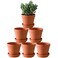 Yishang Terra Cotta Pots with Saucer 6Pack Large Clay Pots 55 Ceramic Pottery Planter Cactus Flower Succulent Pot with Drainage Hole Great for PlantsCrafts terra cotta planter
