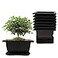 MUZHI 8PCSPack Retro Style Square Small Bonsai Training Pots with Tray Mini Plastic Mocha Garden Flower Pot 47