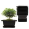 MUZHI 8PCSPack Retro Style Square Small Bonsai Training Pots with Tray Mini Plastic Mocha Garden Flower Pot 47