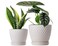 Docrin Ceramic Plant Pots Set of 2 6655 HighFired Clay Indoor Planters with Drainage Holes Saucer Honeycomb Modern Home Decor for All House Plants