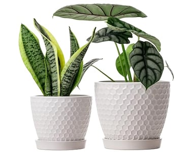 Docrin Ceramic Plant Pots Set of 2 6655 HighFired Clay Indoor Planters with Drainage Holes Saucer Honeycomb Modern Home Decor for All House Plants