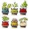 Fulloog Cute Ceramic Succulent Planters Garden Pots with Drainage and Attached Saucer Set of 6 Plants Not Included