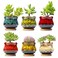 Fulloog Cute Ceramic Succulent Planters Garden Pots with Drainage and Attached Saucer Set of 6 Plants Not Included