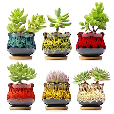 Fulloog Cute Ceramic Succulent Planters Garden Pots with Drainage and Attached Saucer Set of 6 Plants Not Included