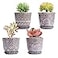 Gepege Succulent Pots 4 Inch Small Indoor Ceramic Planter Pot with Drainage Holes and Saucers for Plants Set of 4