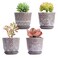 Gepege Succulent Pots 4 Inch Small Indoor Ceramic Planter Pot with Drainage Holes and Saucers for Plants Set of 4