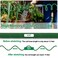 SPECILITE 38 Lightweight Coil Garden Hose 75FT EVA Flexible Curly Water Pipes with 6Pattern Spray Nozzle for Boat Greenhouse Yard Patio Green