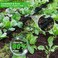 HZYOUMU Flat Soaker Hose 25FT for Efficient Watering Tree Durable Double Layer Design for Gardens Lawns and Vegetable Fields 25FT