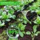 HZYOUMU Flat Soaker Hose 25FT for Efficient Watering Tree Durable Double Layer Design for Gardens Lawns and Vegetable Fields 25FT