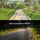 Springwind 10 Pack Solar Pathway Lights Outdoor Bright Solar Powered Garden Light with 3000K Warm LED Auto OnOff Waterproof Path Lights Decorative Landscape Lighting for Yard Patio Walkway Driveway