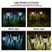 EXCMARK 10 Pack Solar Lights Outdoor Garden Pathway Solar Powered Yard Lights for Walkway Sidewalk Driveway