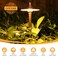 Gardencoin Solid Brass Low Voltage Pathway Lights 67 Shade 219 Tall 12V ACDC Heavy Duty LED Landscape Path Lights Outdoor Wired Antique Bronze Walkway Lights with Larger Stake 4Pack