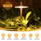 Gardencoin Solid Brass Low Voltage Pathway Lights 67 Shade 219 Tall 12V ACDC Heavy Duty LED Landscape Path Lights Outdoor Wired Antique Bronze Walkway Lights with Larger Stake 4Pack