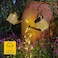 Xugenxes Watering Can with Lights Solar Lights for Outdoor Garden Art Decor Hanging Solar Lanterns Metal Waterproof for Walkway Yard Pathway Patio Table