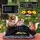 AQEENURA Battery Box Solar Lantern Light Replacement Parts Top for Outdoor Hanging Lanterns Container Home Solar Lamp Hanging Lantern Led Accessories DIY Garden Decor 2PCS