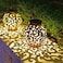 SVEIKS Large Solar Lanterns 2 Pack Outdoor Waterproof LED Metal Hanging Solar Lights for Garden Yard Patio Tree Tabletop Landscape Decorations Brown