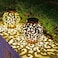 SVEIKS Large Solar Lanterns 2 Pack Outdoor Waterproof LED Metal Hanging Solar Lights for Garden Yard Patio Tree Tabletop Landscape Decorations Brown