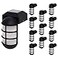 GreenLighting Solar Post Cap Lights Marina 4x4 Solar Post Cap Lights LED Waterproof 12 Pack