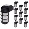 GreenLighting Solar Post Cap Lights Marina 4x4 Solar Post Cap Lights LED Waterproof 12 Pack