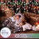 echosari 2 Pack Red White Green Christmas Icicle Lights Battery Operated Total 204 LED Twinkle Icicle Lights 20Ft Clear Wire with 8 Lighting Modes Timer Function for Outdoor Indoor House Party Decorat