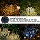 ASDFG 2 Pack Solar Watering Can String Lights Round Solar Panel Outdoor Waterproof 32 Ft LED Copper Wire Hanging Lanterns Battery Box Replacement Accessories WarmCold