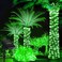 LairtPOW Solar Rope Lights 39FT 100LEDs Outdoor Solar Strip LightsIP65 Waterproof Outdoor Led String Lights with 8 Lighting Modes for Garden Yard Christmas Holiday Palm Tree Decoration Green