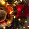 LOENDE Christmas Lights with Timer Battery Operated String Lights 100 LED 8 Modes String Lights Clear Mini Light Set for Wedding Party Home Garden Wreath Waterproof Warm White