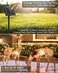 Minetom Solar String Lights 2 Packs Total 66Ft 200 LED Solar Fairy Lights Waterproof Solar Lights for Outside Patio Yard Tree Wedding Christmas Warm White