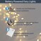 QBIS Warm White Fairy Lights Battery Operated With Timer Mode 40 Micro LED for Mason Jars 65ft Silver Wire Indoor Use