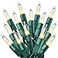 PREXTEX 100 Count Clear Christmas Lights 20 ft Ultra Bright String Lights with Green Wire for Indoor and Outdoor Use Christmas Trees Holidays Patios and Garden