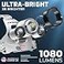 DanForce Headlamp USB Rechargeable LED Head Lamp Ultra Bright LUMINUS 1080 Lumen Headlamp Flashlight Red Light HeadLamps for Adults Camping Outdoors Hard Hat Light Zoomable IPX54 Headlight