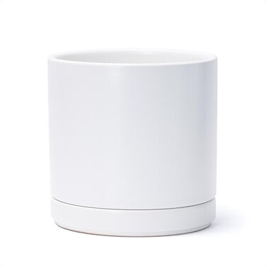 D'vine Dev Dvine Dev 82 Inch Ceramic Planter Pot with Drainage Hole and Saucer Indoor Cylinder Round Planter Pot White 94OD1