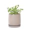 D'vine Dev Dvine Dev 4 Inch Ceramic Beaded Stoneware Planter Pot Flower Pot with Drainage Holes and Saucers for Indoor Succulent Plants or Flowers Light Brown 27CZ4